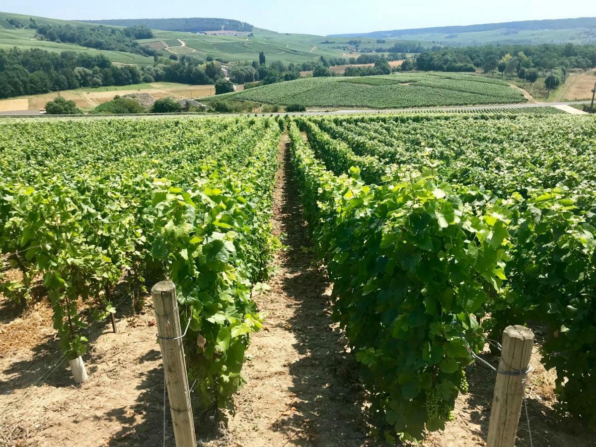 شقة La Bulle De Champagne إيبيرني المظهر الخارجي الصورة